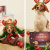 Un cane e il miglior regalo di Natale per due bambini di Urrà Eroi, un libro su misura. 